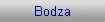 Bodza